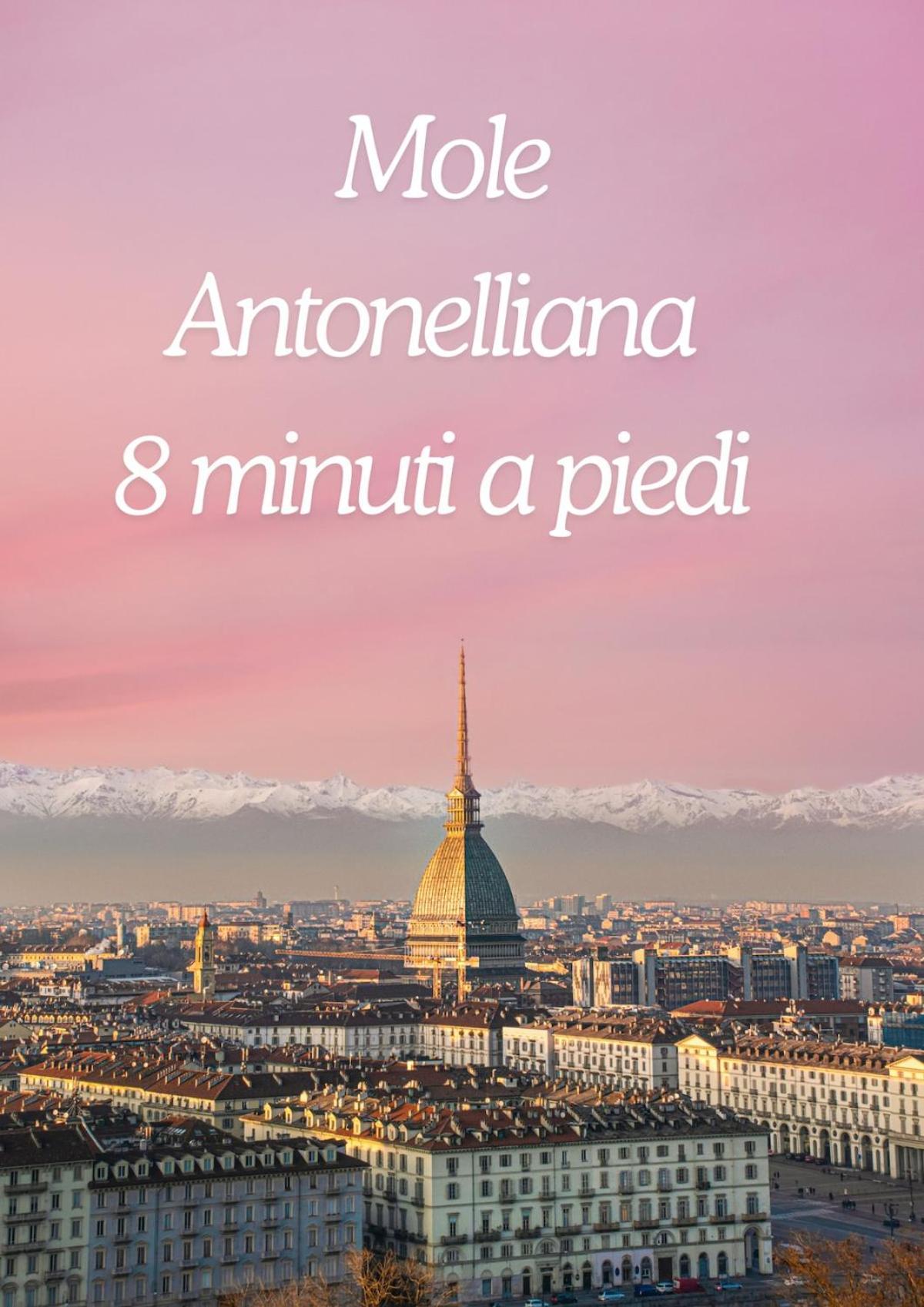Appartement Mole Antonelliana Elegant Loft Centro *
